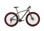 Bicicleta Fat Bike ris mate - Imagen 2