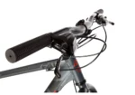 Bicicleta Fat Bike ris mate - Imagen 3
