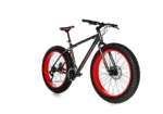 Bicicleta Fat Bike ris mate