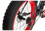 Bicicleta Fat Bike ris mate - Imagen 7
